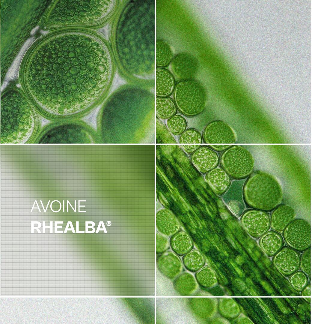 AD_RHEALBA-OAT_ACTIVE-INGREDIENT_2026 NEW PLATFORM_GIRD_FR_10-2025